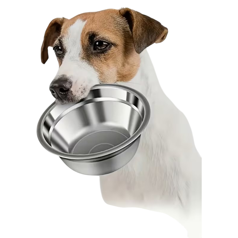 Hund med FoodBar