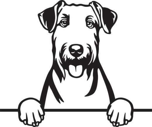 Silhuett av Airedaleterrier