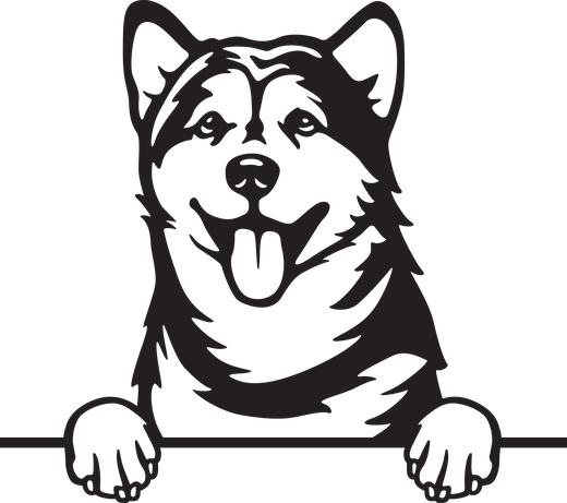 Silhuett av Alaskan malamute