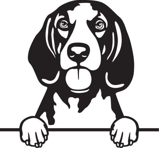 Silhuett av Amerikansk engelsk coonhound