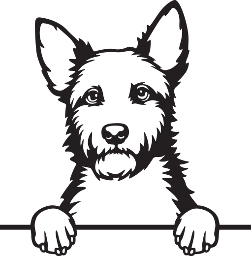 Silhuett av Australsk terrier