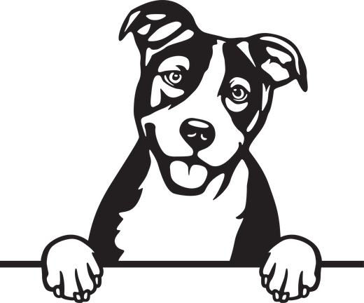 Silhuett av Basenji
