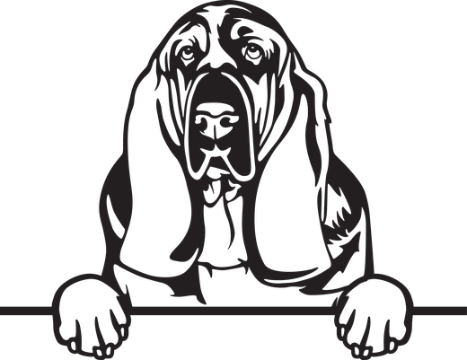 Silhuett av Bassethund