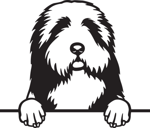 Silhuett av Bearded collie