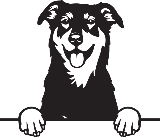 Silhuett av Beauceron