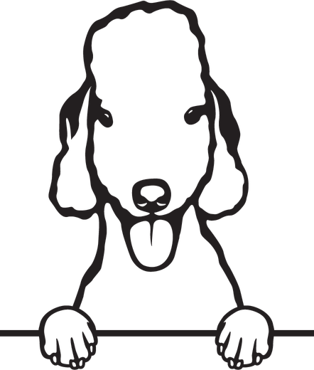Silhuett av Bedlingtonterrier