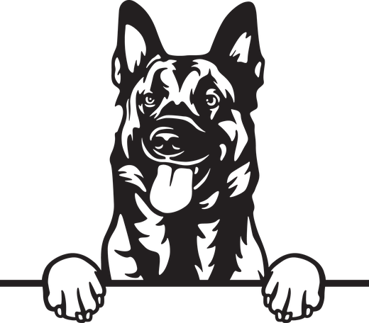 Silhuett av Belgisk fårehund (malinois)