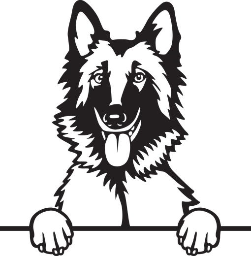 Silhuett av Belgisk fårehund (tervueren)