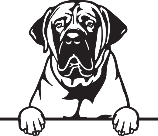 Silhuett av Boerboel