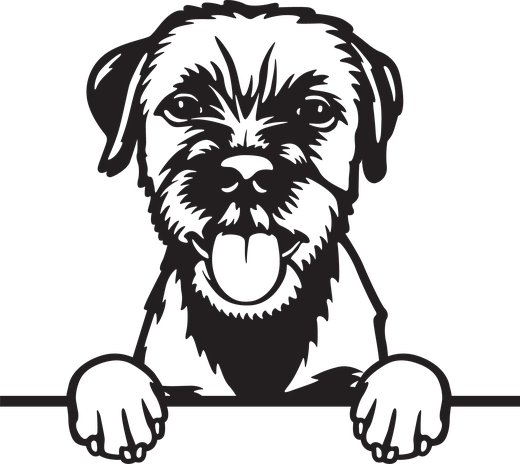 Silhuett av Borderterrier