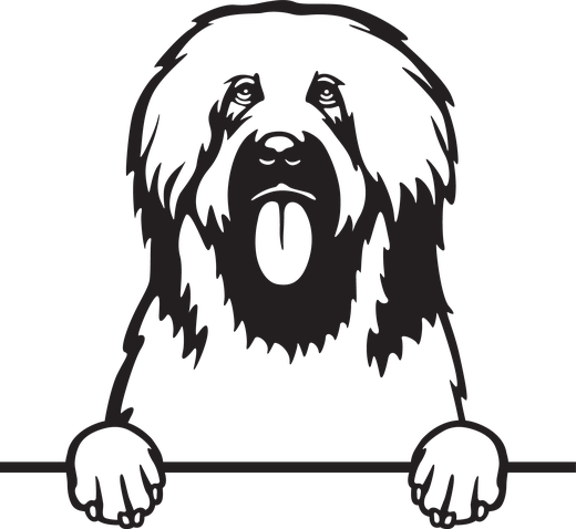 Silhuett av Briard