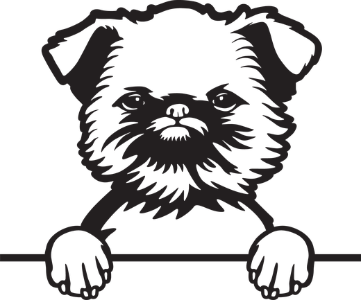 Silhuett av Brysselgriffon