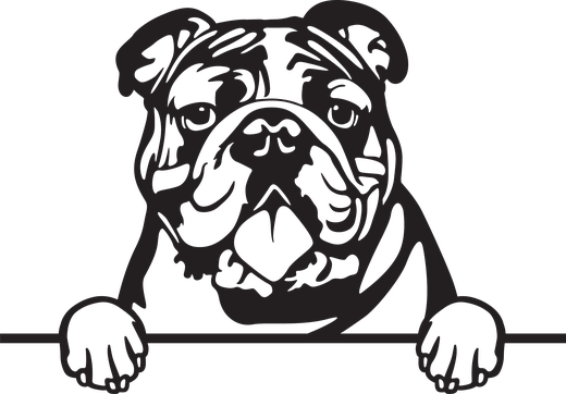 Silhuett av Engelsk bulldog
