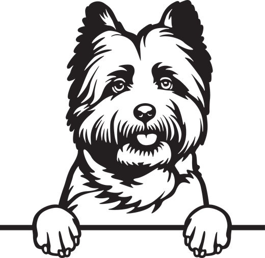 Silhuett av Cairnterrier