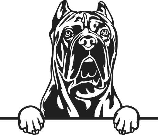 Silhuett av Cane corso