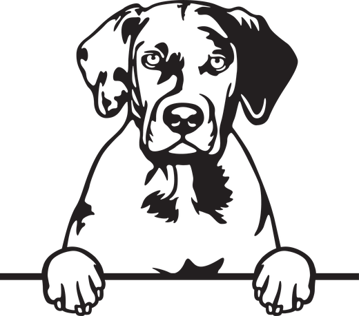 Silhuett av Catahoula leopardhund