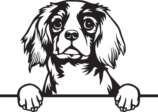 Silhuett av Cavalier king charles spaniel