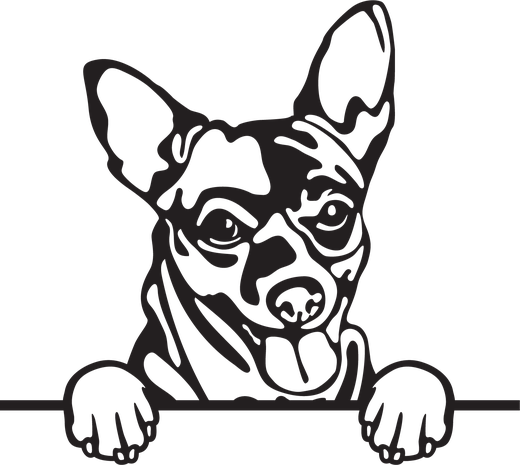 Silhuett av Chihuahua
