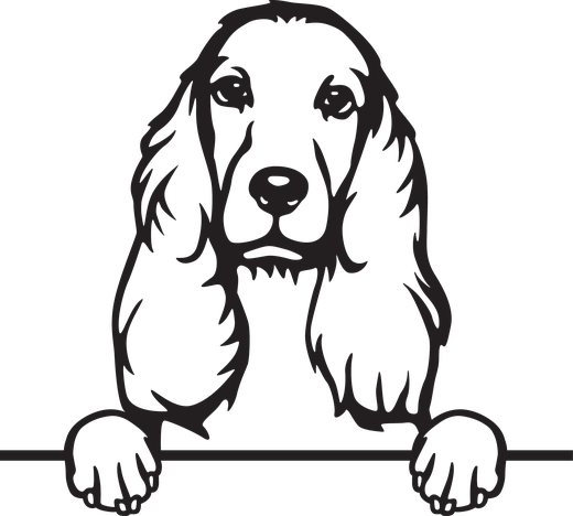 Silhuett av Cocker spaniel